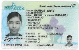 voter-id-drivers-licences