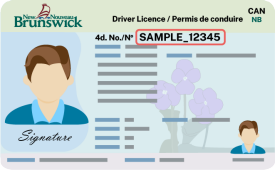 voter-id-drivers-licences